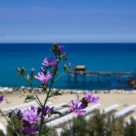 Nel cuore del borgo antico Termoli Esterno foto