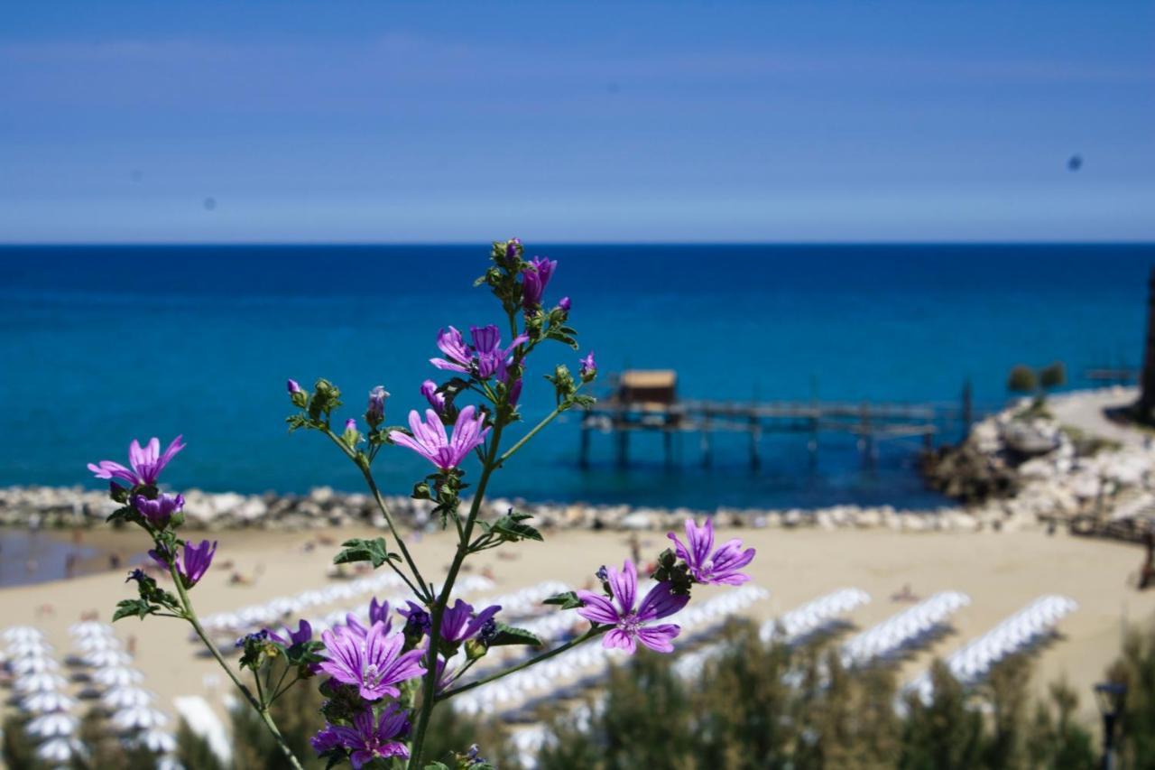 Nel cuore del borgo antico Termoli Esterno foto